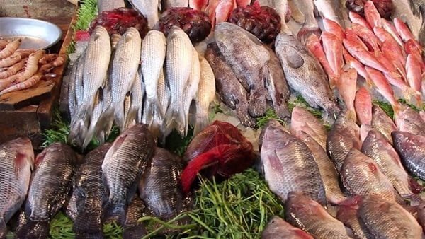 أسعار السمك اليوم