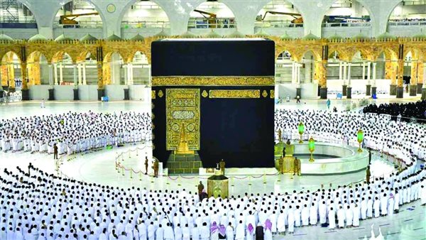 أسعار عمرة المولد