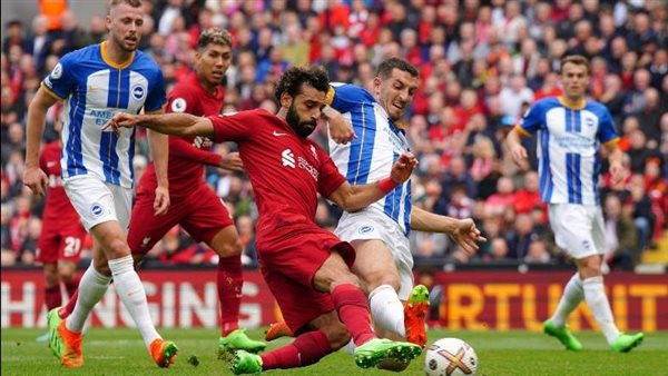 ليفربول وبرايتون