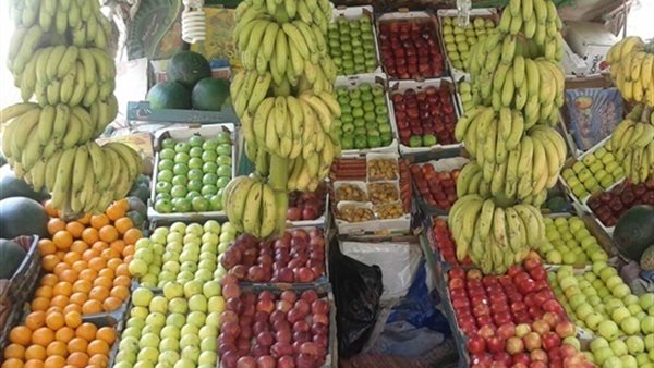 الفاكهة