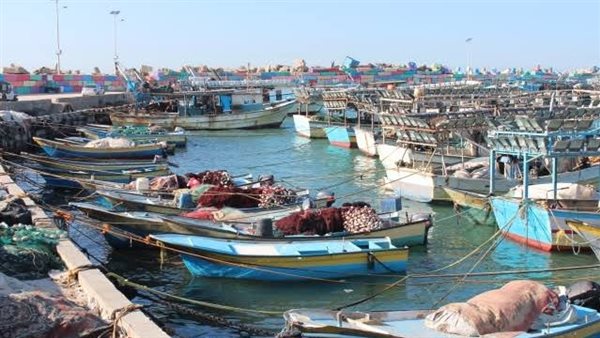 السيطرة العملياتية
