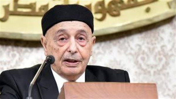 رئيس مجلس النواب