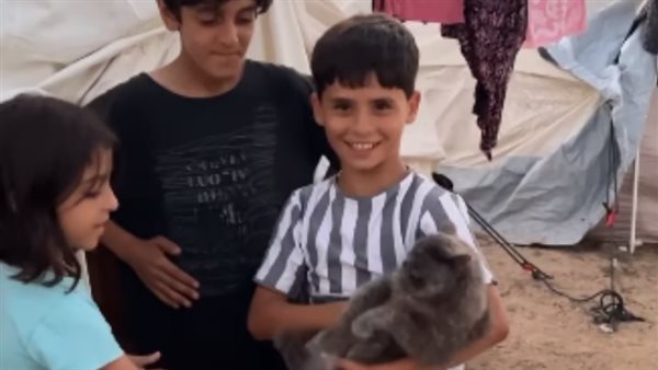 إجلاء الحيوانات من