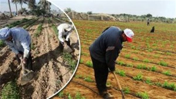 إزالة التعديات على