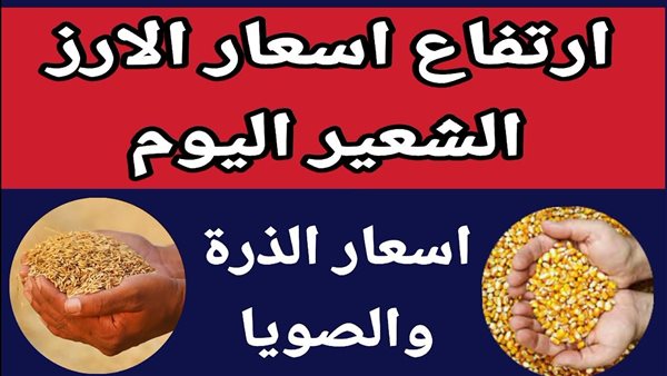 سعر الأرز الشعير